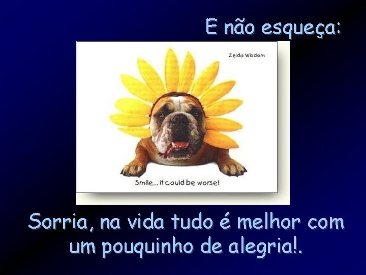 E não esqueça: Sorria, na vida tudo é melhor com um pouquinho de alegria!.