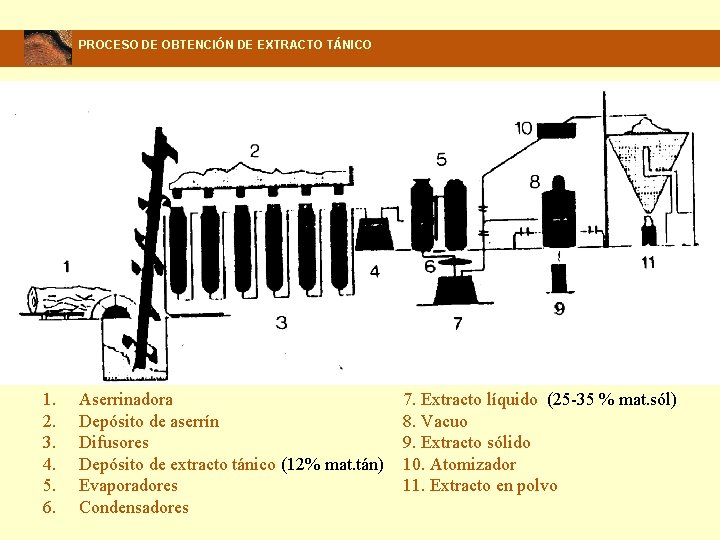 PROCESO DE OBTENCIÓN DE EXTRACTO TÁNICO 1. 2. 3. 4. 5. 6. Aserrinadora Depósito