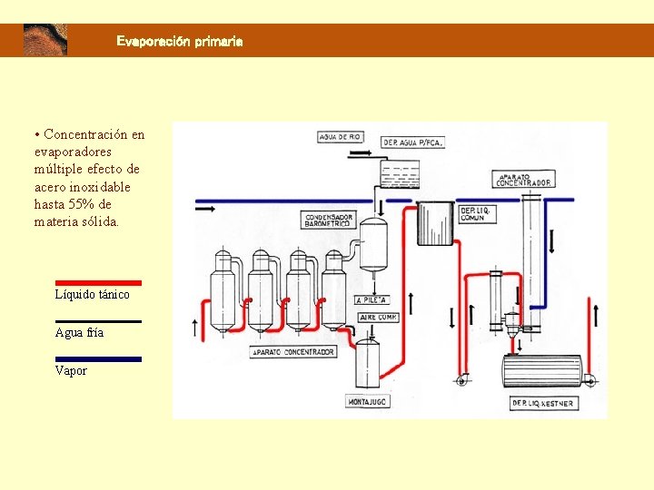 Evaporación primaria • Concentración en evaporadores múltiple efecto de acero inoxidable hasta 55% de