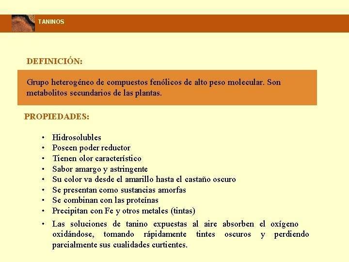 TANINOS DEFINICIÓN: Grupo heterogéneo de compuestos fenólicos de alto peso molecular. Son metabolitos secundarios