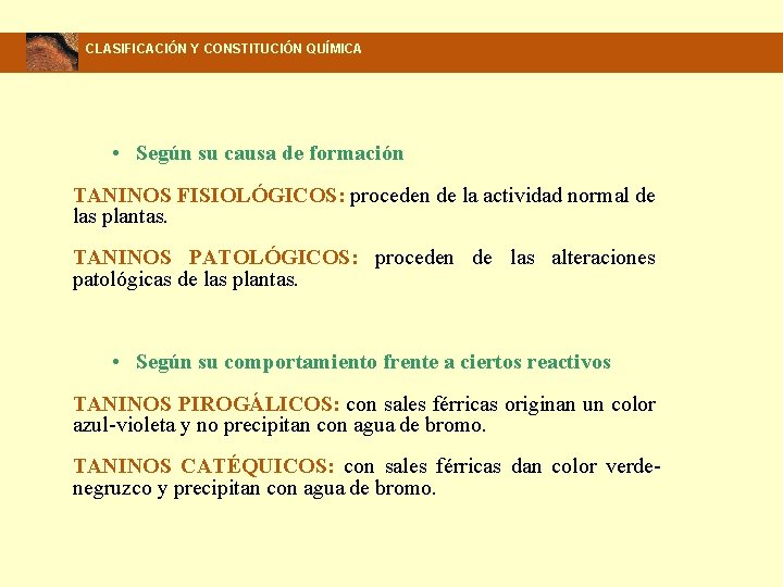 CLASIFICACIÓN Y CONSTITUCIÓN QUÍMICA • Según su causa de formación TANINOS FISIOLÓGICOS: proceden de