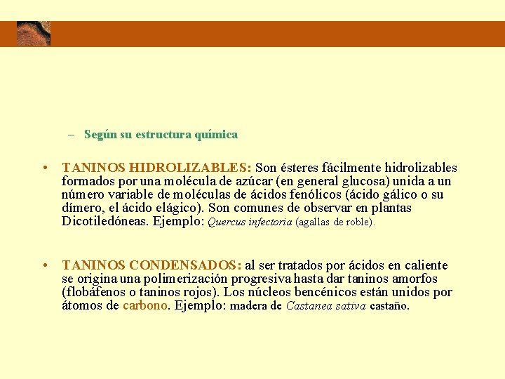 – Según su estructura química • TANINOS HIDROLIZABLES: Son ésteres fácilmente hidrolizables formados por