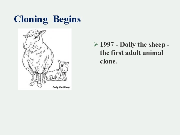 Cloning Begins Ø 1997 - Dolly the sheep - the first adult animal clone.