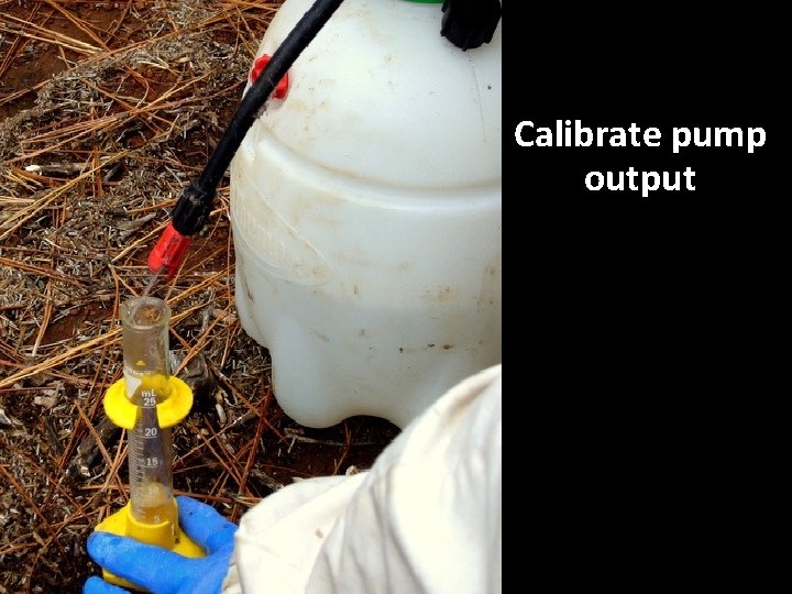 Calibrate pump output 