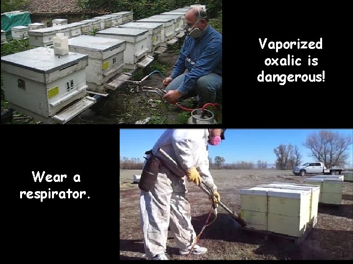 Vaporized oxalic is dangerous! Wear a respirator. 