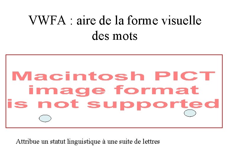 VWFA : aire de la forme visuelle des mots Attribue un statut linguistique à