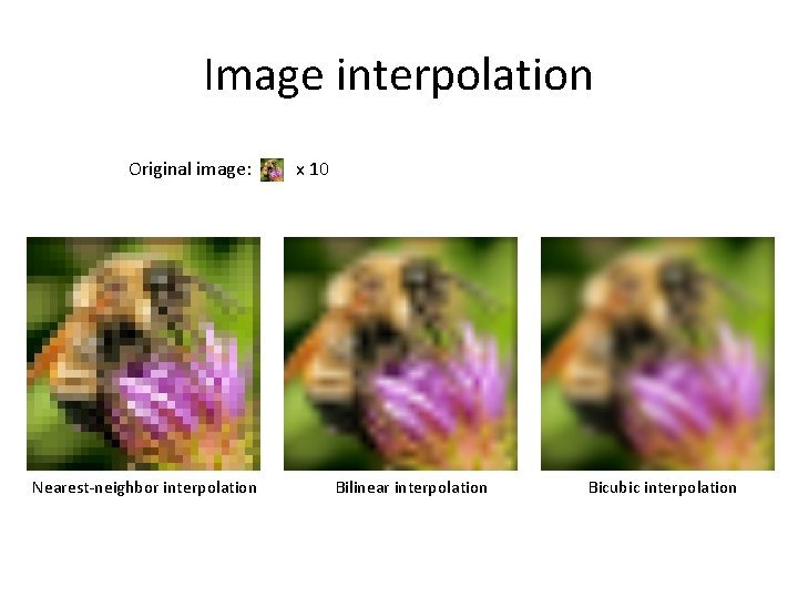 Image interpolation Original image: Nearest-neighbor interpolation x 10 Bilinear interpolation Bicubic interpolation Image interpolation Original image: Nearest-neighbor interpolation x 10 Bilinear interpolation Bicubic interpolation