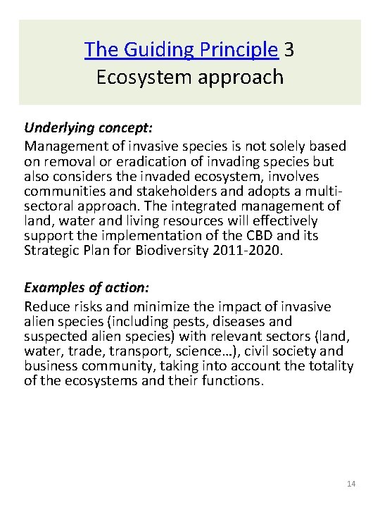 The Guiding Principle 3 Ecosystem approach Underlying concept: Management of invasive species is not