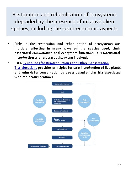 Restoration and rehabilitation of ecosystems degraded by the presence of invasive alien species, including