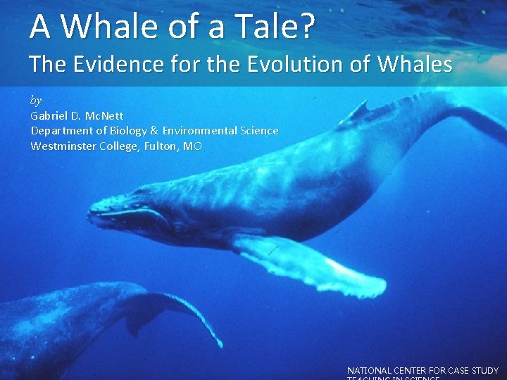 A Whale of a Tale? The Evidence for the Evolution of Whales by Gabriel A Whale of a Tale? The Evidence for the Evolution of Whales by Gabriel