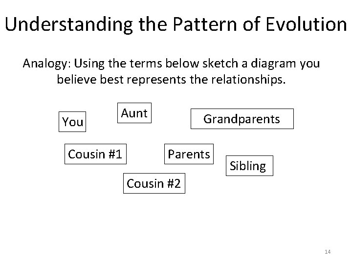 Understanding the Pattern of Evolution Analogy: Using the terms below sketch a diagram you Understanding the Pattern of Evolution Analogy: Using the terms below sketch a diagram you