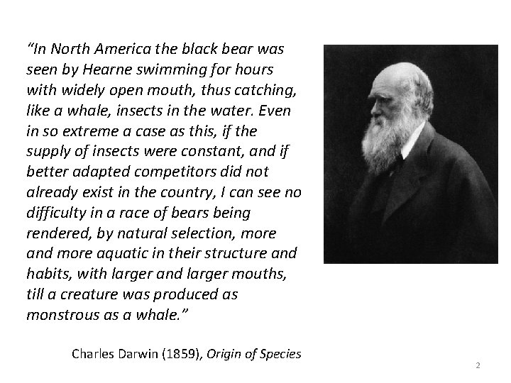 “In North America the black bear was seen by Hearne swimming for hours with “In North America the black bear was seen by Hearne swimming for hours with
