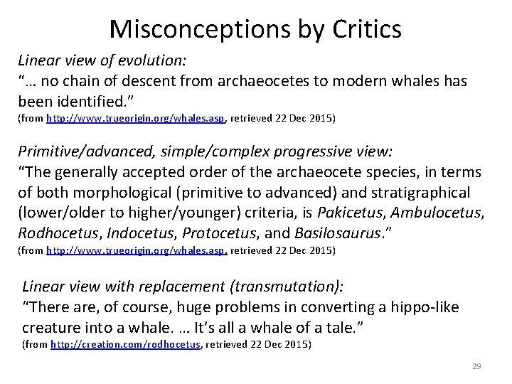 Misconceptions by Critics Linear view of evolution: “… no chain of descent from archaeocetes Misconceptions by Critics Linear view of evolution: “… no chain of descent from archaeocetes