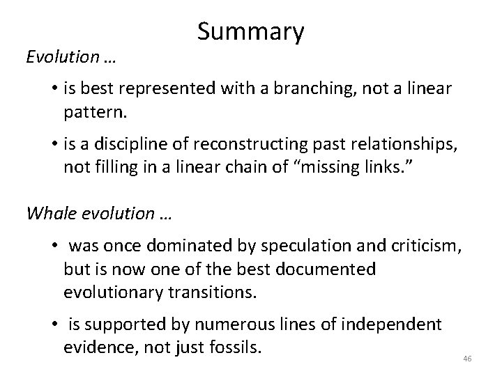 Evolution … Summary • is best represented with a branching, not a linear pattern. Evolution … Summary • is best represented with a branching, not a linear pattern.