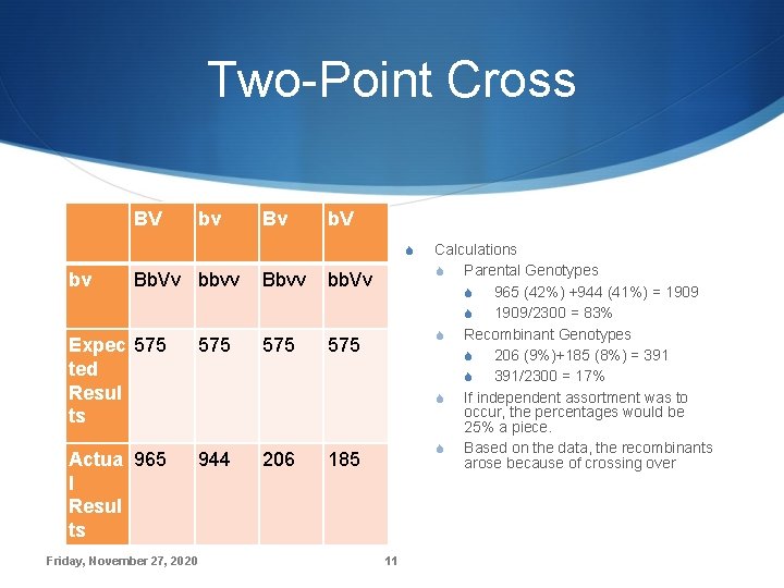 Two-Point Cross BV bv Bv b. V S bv Bb. Vv bbvv Bbvv bb.
