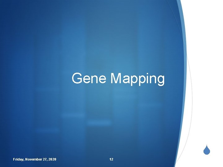 Gene Mapping Friday, November 27, 2020 12 S 