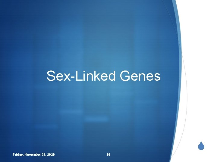 Sex-Linked Genes Friday, November 27, 2020 16 S 