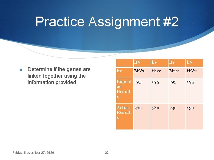 Practice Assignment #2 S Determine if the genes are bv Bv b. V Bb.