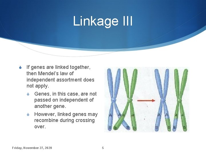 Linkage III S If genes are linked together, then Mendel’s law of independent assortment