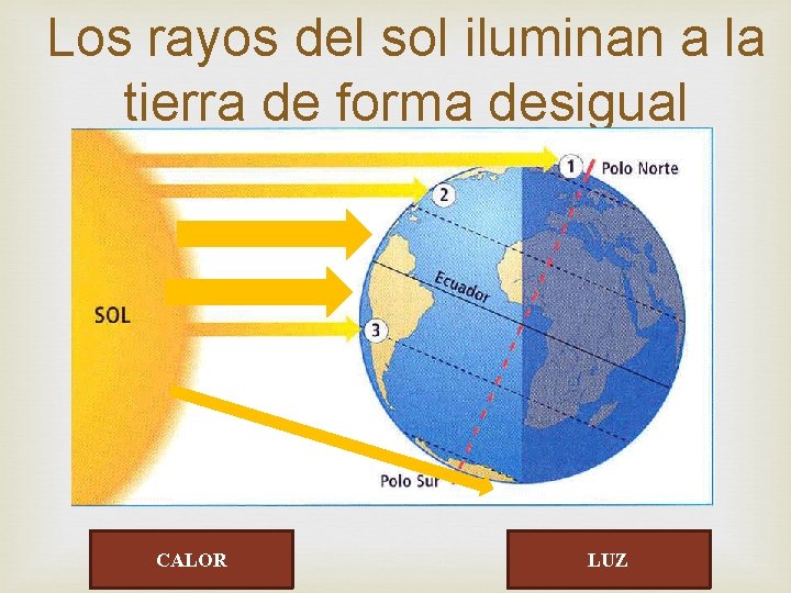 Los rayos del sol iluminan a la tierra de forma desigual CALOR LUZ 