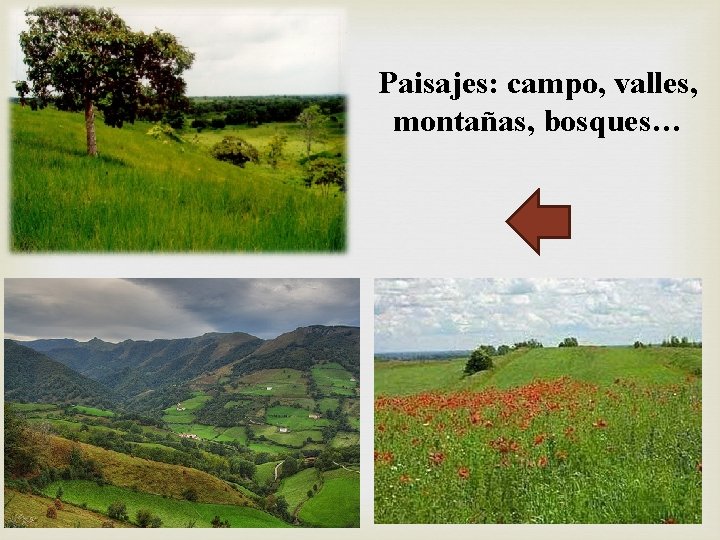 Paisajes: campo, valles, montañas, bosques… 