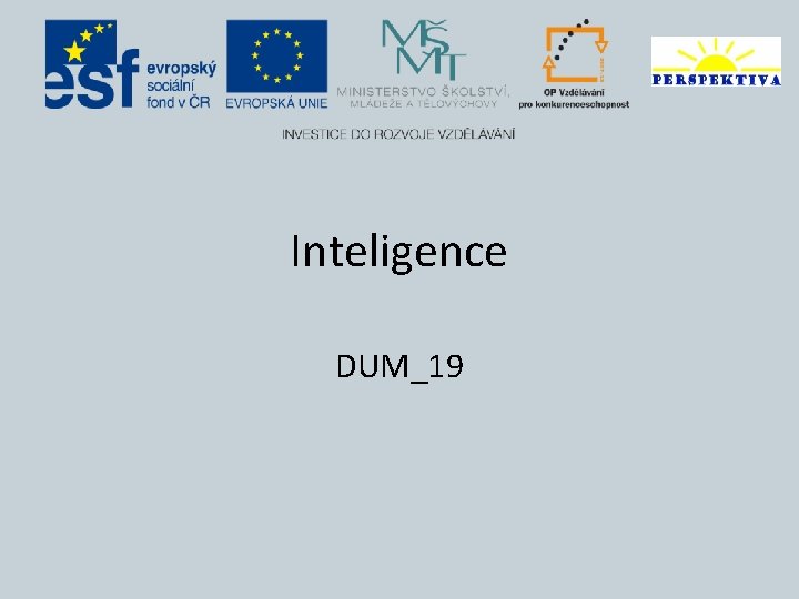 Inteligence DUM_19 