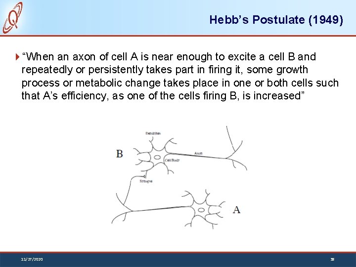 Hebb’s Postulate (1949) “When an axon of cell A is near enough to excite