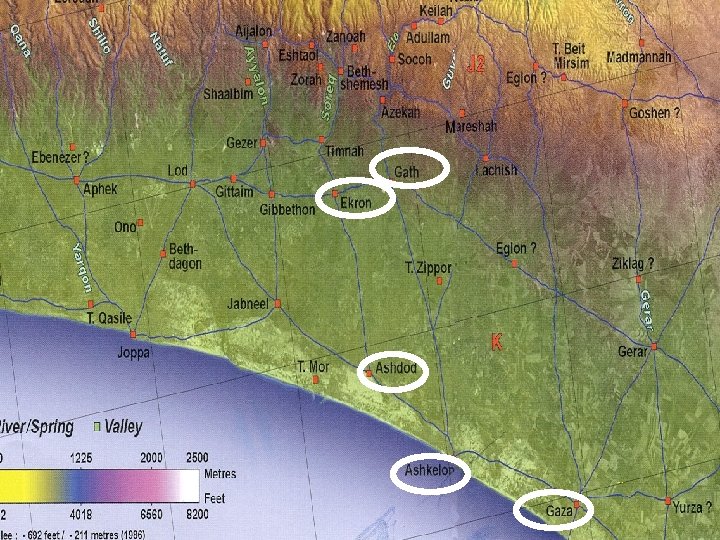 Philistine Plain Philistine Plain