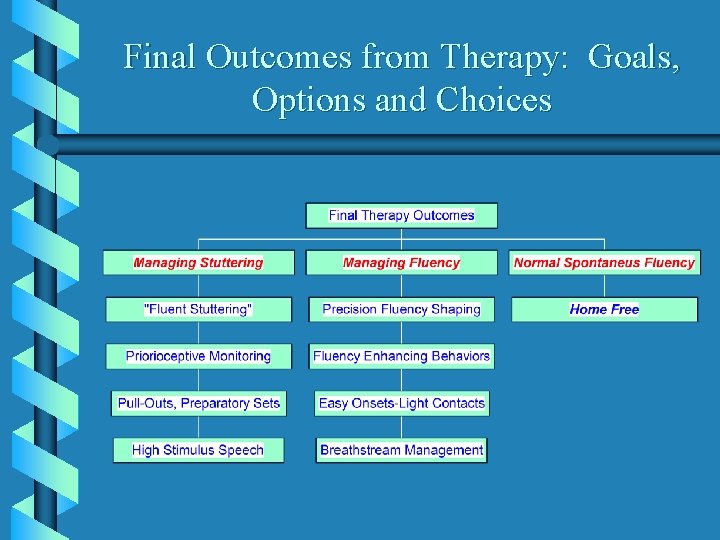 Final Outcomes from Therapy: Goals, Options and Choices 