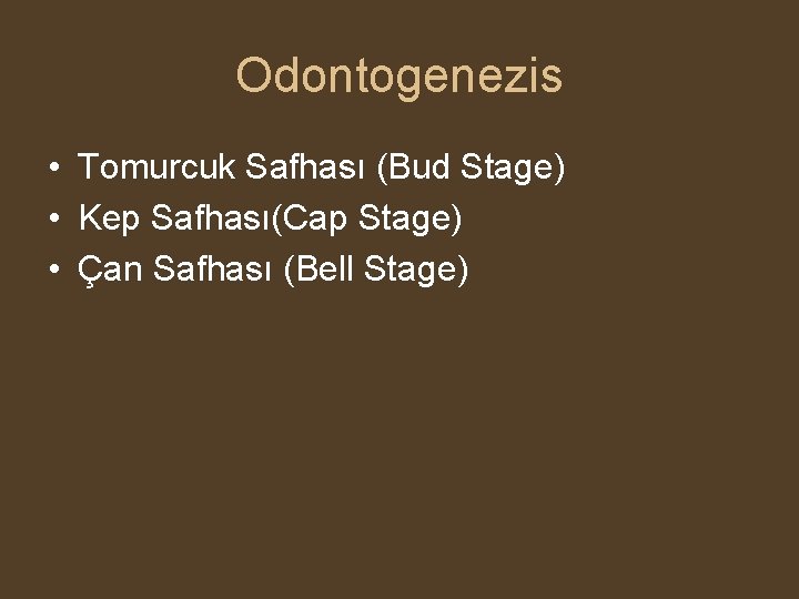 Odontogenezis • Tomurcuk Safhası (Bud Stage) • Kep Safhası(Cap Stage) • Çan Safhası (Bell