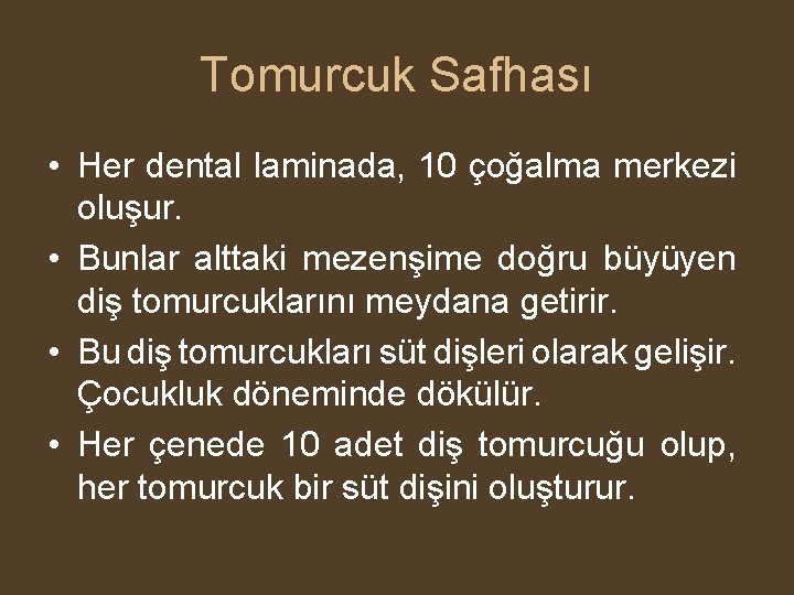 Tomurcuk Safhası • Her dental laminada, 10 çoğalma merkezi oluşur. • Bunlar alttaki mezenşime