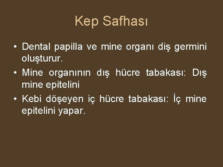 Kep Safhası • Dental papilla ve mine organı diş germini oluşturur. • Mine organının