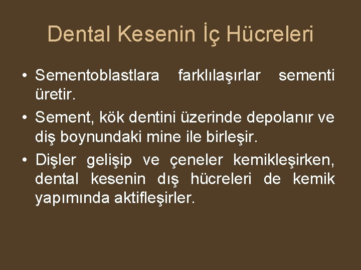 Dental Kesenin İç Hücreleri • Sementoblastlara farklılaşırlar sementi üretir. • Sement, kök dentini üzerinde