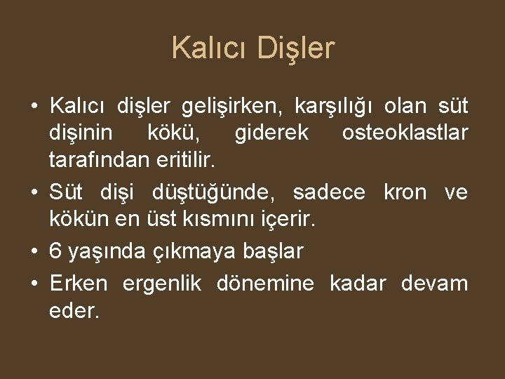 Kalıcı Dişler • Kalıcı dişler gelişirken, karşılığı olan süt dişinin kökü, giderek osteoklastlar tarafından