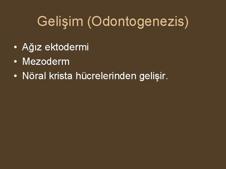 Gelişim (Odontogenezis) • Ağız ektodermi • Mezoderm • Nöral krista hücrelerinden gelişir. 