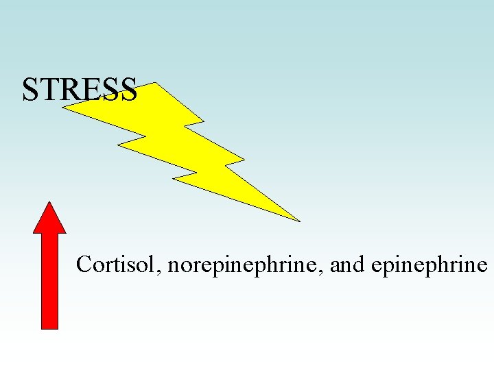 STRESS Cortisol, norepinephrine, and epinephrine 