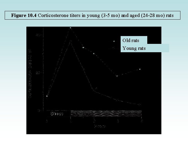 Figure 10. 4 Corticosterone titers in young (3 -5 mo) and aged (24 -28