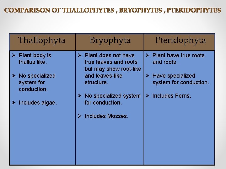 Thallophyta Ø Plant body is thallus like. Ø No specialized system for conduction. Ø