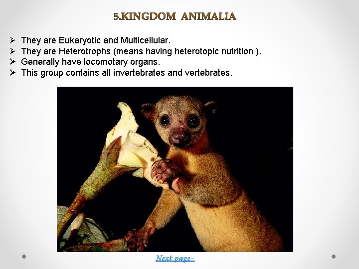 Ø Ø They are Eukaryotic and Multicellular. They are Heterotrophs (means having heterotopic nutrition