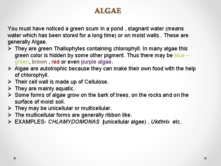 You must have noticed a green scum in a pond , stagnant water (means