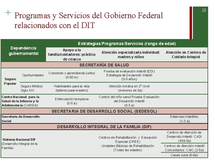 + 20 Programas y Servicios del Gobierno Federal relacionados con el DIT Estrategias/Programas/Servicios (rango