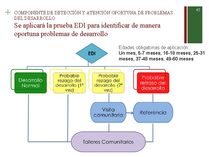 + COMPONENTE DE DETECCIÓN Y ATENCIÓN OPORTUNA DE PROBLEMAS DEL DESARROLLO 45 Se aplicará