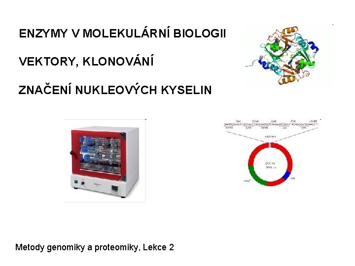 ENZYMY V MOLEKULÁRNÍ BIOLOGII VEKTORY, KLONOVÁNÍ ZNAČENÍ NUKLEOVÝCH KYSELIN Metody genomiky a proteomiky, Lekce