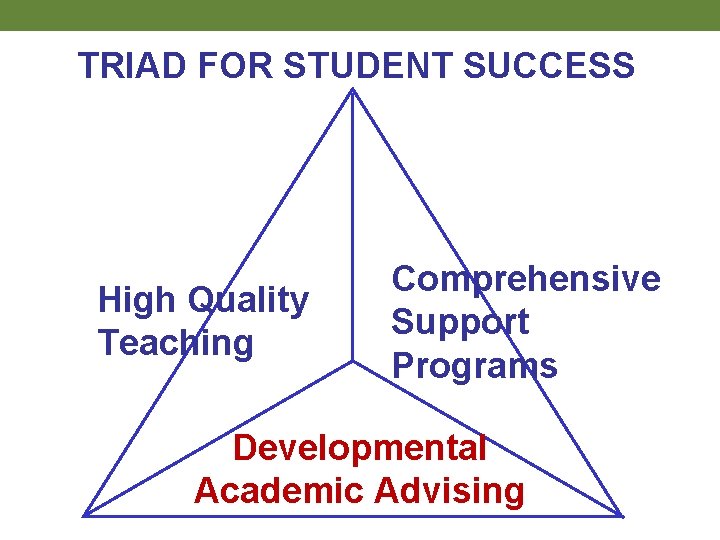 TRIAD FOR STUDENT SUCCESS High Quality Teaching Comprehensive Support Programs Developmental Academic Advising 