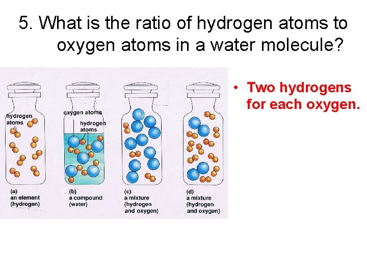 5. What is the ratio of hydrogen atoms to oxygen atoms in a water