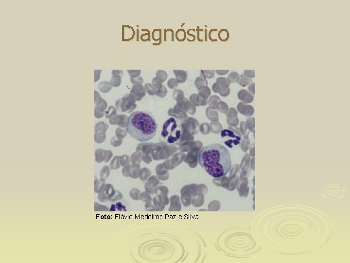 Diagnóstico Foto: Flávio Medeiros Paz e Silva 