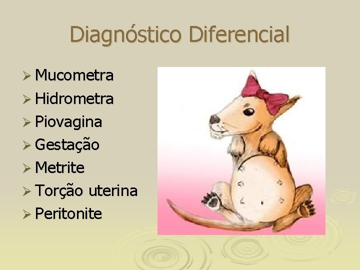Diagnóstico Diferencial Ø Mucometra Ø Hidrometra Ø Piovagina Ø Gestação Ø Metrite Ø Torção