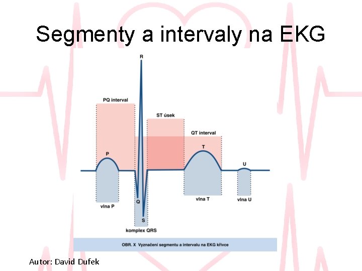 Segmenty a intervaly na EKG Autor: David Dufek 