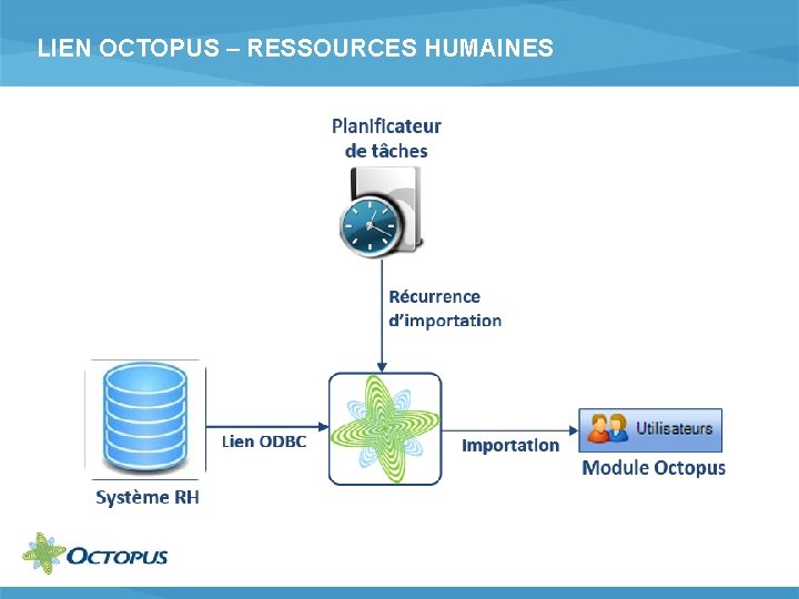 LIEN OCTOPUS – RESSOURCES HUMAINES 