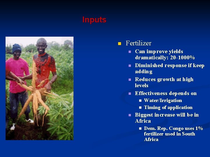  Inputs n Fertilizer n n n n Can improve yields dramatically: 20 -1000%